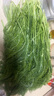 辰實【順豐發(fā)貨中】山東茴香菜新鮮 小茴香蔬菜 葷香菜苗回香 2斤 （嘗鮮） 曬單實拍圖