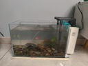 寵小帥適用小米魚缸擺件水族箱造景原生態(tài)南美風(fēng)布景溪流石金魚缸裝飾品 【南美青龍石】造景套餐 曬單實(shí)拍圖