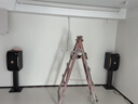 JBL【全新三分頻】Pasion10專業(yè)家庭ktv音響套裝 影院家用K歌音箱卡拉ok唱歌全套設備 【JBL頂奢全套】10吋2.0尊享套裝 曬單實拍圖