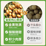 四叔公果蔬金獎·雞心黃皮果【JD閃送】廣東新鮮雞心果當季送禮水果禮盒 （自吃推薦-顆顆精品）鎖鮮裝 5斤裝【家庭分享-超劃算】?jì)?斤 曬單實(shí)拍圖