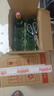 紅星（RED STAR）【酒廠直發(fā)】紅星二鍋頭 56度白酒 二鍋頭 750ml*6瓶 高度白酒 56度 750mL 6瓶 曬單實(shí)拍圖