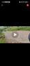 大疆 DJI Osmo Mobile 7P 全場景跟拍手機(jī)穩(wěn)定器OM7智能跟拍直播vlog手持自拍桿拍攝神器 曬單實(shí)拍圖