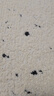 前行者（EWEADN）Q9小土豆無線藍(lán)牙雙模透明鼠標(biāo)游戲可充電式電競電腦筆記本低音輕量化RGB燈效  晶透白 曬單實拍圖