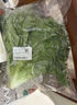 散葉生菜約400g 曬單實拍圖