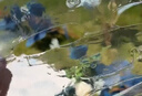 傾姿堂 膠原蛋白童顏面膜補(bǔ)水保濕滋潤(rùn)肌底淡化細(xì)紋透明果凍面膜女 膠原蛋白水晶面膜（5片/盒） 曬單實(shí)拍圖