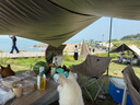 牧高笛（MOBIGARDEN）俊庭鈦黑復(fù)合黑膠天幕 戶外露營防曬防雨大空間遮陽棚黑膠天幕 俊庭530/和風(fēng)沙 曬單實拍圖