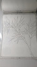 【新華正版】中國(guó)畫(huà)白描入門描摹本國(guó)畫(huà)工筆國(guó)風(fēng)工筆畫(huà)白描底稿線描臨摹畫(huà)冊(cè)底稿線稿描紅基礎(chǔ)書(shū)初學(xué)水墨畫(huà)冊(cè)毛筆繪畫(huà)練習(xí)教材 【2冊(cè)】花卉篇+動(dòng)物篇 曬單實(shí)拍圖