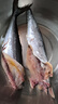 京喜加青島海捕鲅魚整條大鲅魚馬鮫魚6/8兩新鮮冷凍海鮮水產 4kg 無冰鲅魚6/8兩【大規(guī)格】 曬單實拍圖