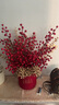 花點(diǎn)馨意年宵花發(fā)財果福桶新年裝飾擺件紅果冬青發(fā)財果元旦新年禮物4861 曬單實(shí)拍圖