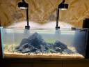 老漁匠大型原生態(tài)造景極窄溪流魚缸底濾一體柜家用水族箱超白玻璃落地缸 玄武黑-專業(yè)版【專業(yè)魚缸燈 到手養(yǎng)魚】 120CM*50CM*135CM 曬單實拍圖