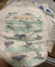 碧芭寶貝盛夏光年拉拉褲XXXL26片(≥18kg)學步褲 夏季超薄 透氣不悶熱 曬單實拍圖