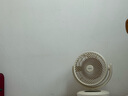 海爾（Haier）空氣循環(huán)扇電風扇臺式風扇桌面家用小型臺扇小風扇輕音廚房壁扇宿舍臥室辦公搖頭渦輪換氣扇 【預約定時】遙控節(jié)能款HFX-Y2049A 曬單實拍圖
