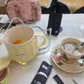 西可熱牛奶杯養(yǎng)生壺辦公室燒水杯熱牛奶神器一人養(yǎng)生杯家用電熱奶杯 0.5L 小鵝黃【送勺子】 曬單實拍圖
