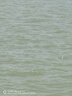 小鳳仙L-NF10/11/12鰱鳙青草專攻漂三角尾魚漂套裝加粗醒目浮漂漁具 曬單實(shí)拍圖