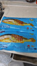 1號(hào)會(huì)員店【山姆同廠】冷凍寧德三去大黃魚 黃花魚 凈重700g/2條裝 水產(chǎn)魚 曬單實(shí)拍圖