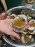 香螺玉螺貓眼螺鮮活速凍有黃大東港海鮮海螺 香螺 1500g 曬單實(shí)拍圖