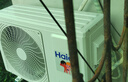 海爾（Haier）空調(diào)勁風(fēng)2匹新一級能效變頻冷暖臥室防直吹壁掛式空調(diào) 自清潔全域恒溫智能WIFI舒適循環(huán)大風(fēng)量 2匹 一級能效 升級大風(fēng)量+強(qiáng)勁冷暖 曬單實(shí)拍圖