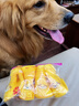 嬉皮狗（hipidog）中大型犬雨鞋防水防掉狗狗鞋子寵物防臟神器金毛柯基腳套夏季外出 洛克黃 3XL9.3*7.4cm建議體重45-65斤 曬單實(shí)拍圖