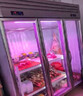 歐力雪掛肉柜商用鮮肉冷凍柜保鮮柜牛肉豬肉羊肉冷藏展示柜立式生肉冷藏柜商場(chǎng)專(zhuān)用 豪華款四門(mén)2.4*1.0*2.2米承重2000斤 曬單實(shí)拍圖