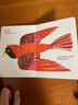 英文原版 Brown Bear Brown Bear What Do you see 棕熊你看到了什么 棕色的熊 Eric Carle 艾瑞卡爾 撕不爛紙板書 認(rèn)知繪本 綠山墻 曬單實拍圖