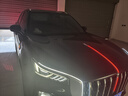 追季適用于（包安裝）23-26款紅旗hs5流光燈中網(wǎng)燈龍須機蓋燈旗標燈 龍須燈一對裝(2件套) 曬單實(shí)拍圖