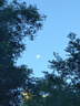 鴻星爾克（ERKE）運(yùn)動鞋男鞋休閑夏季網(wǎng)面透氣輕便軟底耐磨通勤久站戶外跑步鞋男士 曬單實(shí)拍圖