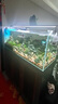 魚缸造景石頭水族箱龜缸多肉底砂雨花石熱敷鵝卵石子 鵝卵石(1-3)厘米一斤 曬單實(shí)拍圖