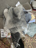 無印良品（MUJI）女式 棉混 羅紋編織 十分長 直筒褲  褲子 長褲 休閑褲 DGA06C3S 淺灰棕色 XL (身高165-170 臀圍100-105) 曬單實拍圖
