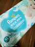 幫寶適（Pampers）清新幫紙尿褲 XL92（整箱） 曬單實拍圖