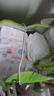 好奇（Huggies）金裝紙尿褲M162片(6-11kg)中號(hào)嬰兒尿不濕超薄柔軟超大吸力透氣 曬單實(shí)拍圖