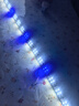 邊勝魚(yú)缸燈led燈照明水族箱增艷燈防水龍魚(yú)變色燈管 97cm雙排燈三擋變色（適100-125cm缸） 曬單實(shí)拍圖