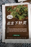因艾氏花生下針靈花生膨果轉色生根壯苗提質(zhì)增產(chǎn)預防黃葉水溶肥料 1袋30g一桶水體驗運費很貴 曬單實(shí)拍圖