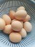 無(wú)淳時(shí)代膽固醇降低型鮮雞蛋禮盒裝 無(wú)抗生鮮營(yíng)養優(yōu)選新鮮包郵 無(wú)淳時(shí)代膽固醇降低70%型可生食鮮雞蛋（30枚裝） 曬單實(shí)拍圖