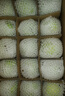 京地達山西青蘋果 凈重8.5斤單果80g起 小蘋果現(xiàn)摘酸甜脆爽源頭直發(fā)包郵 曬單實拍圖