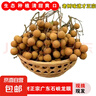 正宗廣東石峽龍眼50年老樹(shù)現(xiàn)摘新鮮飽滿口感清甜生態(tài)種植老少咸宜 精選正宗老樹(shù)石峽龍眼凈重10斤 曬單實(shí)拍圖