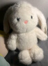 名創(chuàng)優(yōu)品（MINISO）塔妮兔乖乖坐姿公仔毛絨玩具玩偶抱枕娃娃送女友告白生日禮物女 曬單實拍圖