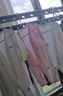 貝瑞加（Babyprints）嬰兒連體衣2件裝新生寶寶蝴蝶衣長(zhǎng)袖護(hù)肚連身衣滿月服 小兔59 曬單實(shí)拍圖