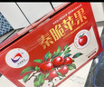 洛川蘋(píng)果陜西延安特產(chǎn)紅富士時(shí)令蘋(píng)果水果禮盒送蘋(píng)果生鮮新鮮脆甜整箱批發(fā) 【新品】秦脆16個(gè)90mm甄選禮盒裝 曬單實(shí)拍圖