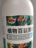 多肉爛根專(zhuān)用藥化水防黑腐黑斑病白粉病掉葉子專(zhuān)用藥多菌靈百菌清 多肉殺菌【購二發(fā)三】 曬單實(shí)拍圖