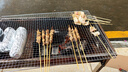 鮮京采內(nèi)蒙古孜然羊肉串凈重2斤 （50串）露營戶外燒烤 京東自有品牌 曬單實(shí)拍圖