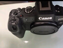 佳能（Canon）EOS R8 全畫幅微單數(shù)碼相機 單機身（約2420萬像素/小型輕量） 曬單實拍圖