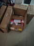 博世（BOSCH）電動螺絲刀迷你充電起子機(jī)Bosch Go3代家用3.6v博士電批電鉆現(xiàn)貨 GO3【基本版標(biāo)配】京倉急速發(fā)貨 曬單實(shí)拍圖