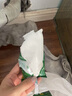得力（deli）密封膠泥零甲醛防水防霉空調洞孔堵漏堵洞神器補墻泥下水道堵塞泥 【10包裝】90%客戶(hù)的選擇 曬單實(shí)拍圖