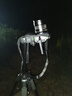銘匠10mm F2星空風(fēng)光超廣角鏡頭大光圈定焦適用于X卡口E卡口Z卡口RF卡口微單相機鏡頭 尼康Z卡口 曬單實拍圖