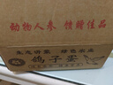 沂鮮新鮮鴿子蛋正宗五谷雜糧散養(yǎng)信鴿蛋30枚孕婦寶寶農(nóng)家初生蛋禮盒裝 鴿子蛋30枚 曬單實(shí)拍圖