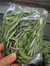 桃李村【順豐】新鮮煎牛排用調味料香料烘焙裝飾香草 迷迭香50g 曬單實拍圖
