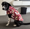 搭啵兔狗狗衣服冬季保暖羽絨棉衣柴犬金毛薩摩中型大型犬寵物衣服秋冬裝 圣誕系列-紅色 4XL（建議體重27-40斤） 曬單實(shí)拍圖