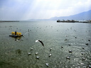 川澤蘆葦浮漂高靈敏魚漂醒目鯽魚漂野釣輕口滑口帶殼浮標LH03-3粗尾 曬單實拍圖