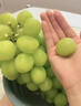 果益壽江蘇陽(yáng)光玫瑰葡萄國產(chǎn)晴王葡萄整箱當季新鮮水果禮盒中秋節送禮品 凈重3斤精品果單果6-8g 曬單實(shí)拍圖