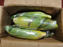 京鮮生云南水果玉米5斤 鮮甜玉米棒 甜脆多汁 新鮮蔬菜 源頭直發(fā)包郵 曬單實拍圖